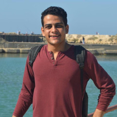 Mohamed Essam