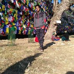 Manu Sharma