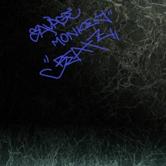 SAVAGEMONKEYBEATZ