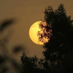 باهي ابوالقمصان