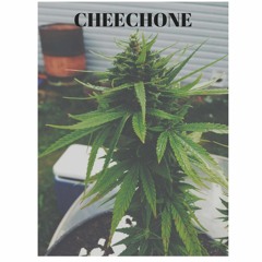 CheechOne