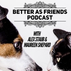 Better As Friends Podcast