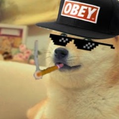WIZNIOWKA