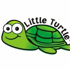 lil turtle