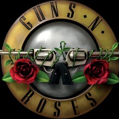 guns and roses