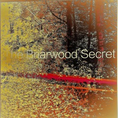 The Briarwood Secret