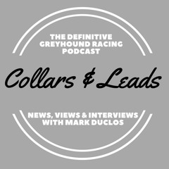 Collars & Leads