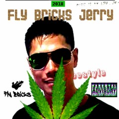 Fly Bricks Jerry