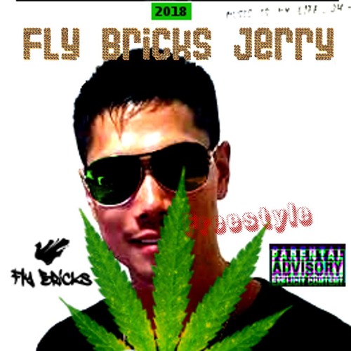 Fly Bricks Jerry’s avatar