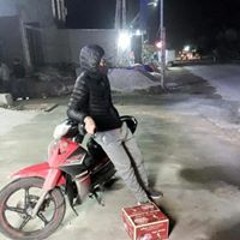 Bống Dolce