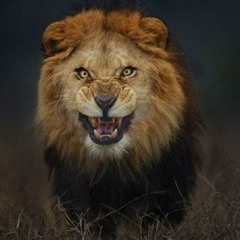 مساعد البلوشي - حسب الوقت (جلسات  وناسه)  2017