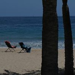 Алекстраза Малигос