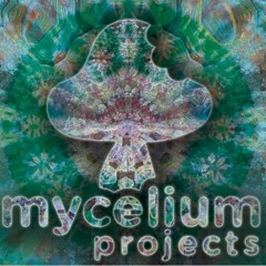 Mycelium Projects