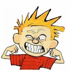 Calvin Hobbes