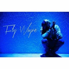 FlyWayne