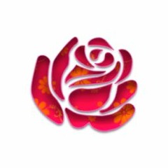 Stenite Rose