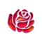 Stenite Rose