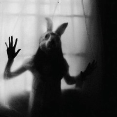 maxime colomina