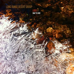 Long Range Desert Group