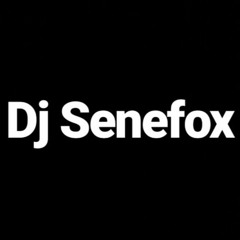 Dj Senefox