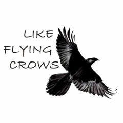 Like Flying Crows Label