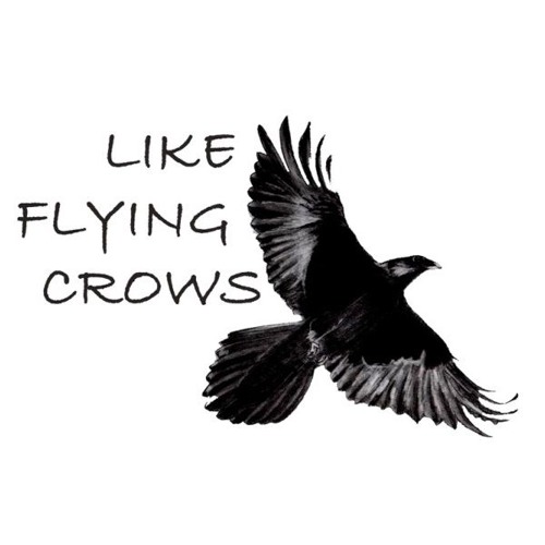 Like Flying Crows Label’s avatar