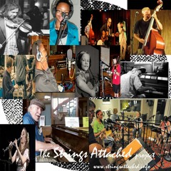 Strings Attached Guitars and Ukuleles