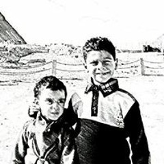 نور انور