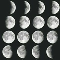 Luna Darky