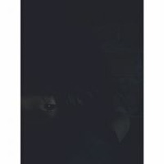 Nguyễn Huyền Trân