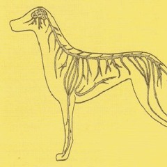 The Boys With The Perpetual Nervousness