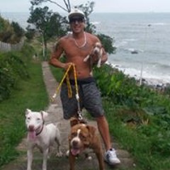 Wellington Nene