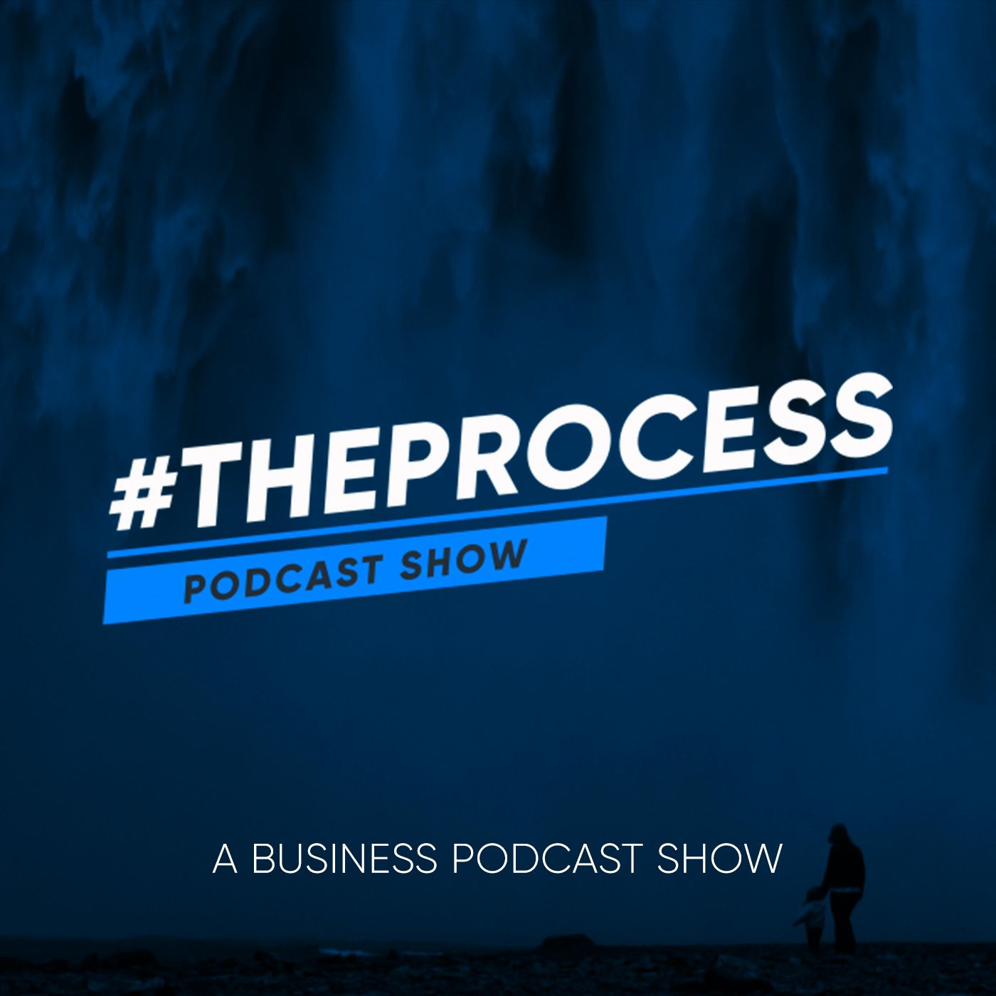 The Process Show