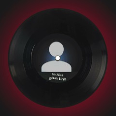Mr. Nice - Browsing My Way