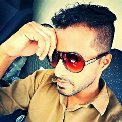 anas ameer