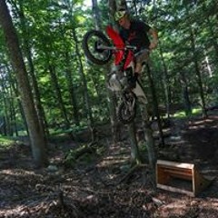 Alex Gillespie