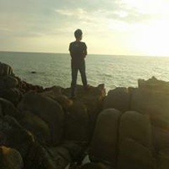 MSFFzuly
