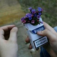 شيكوو.ع محمأا