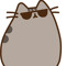 Pusheen Kat The Cat