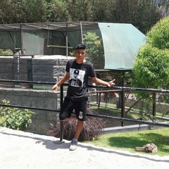 Jose Luis Benavides Mora