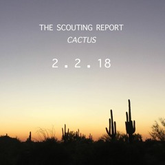The Scouting Report