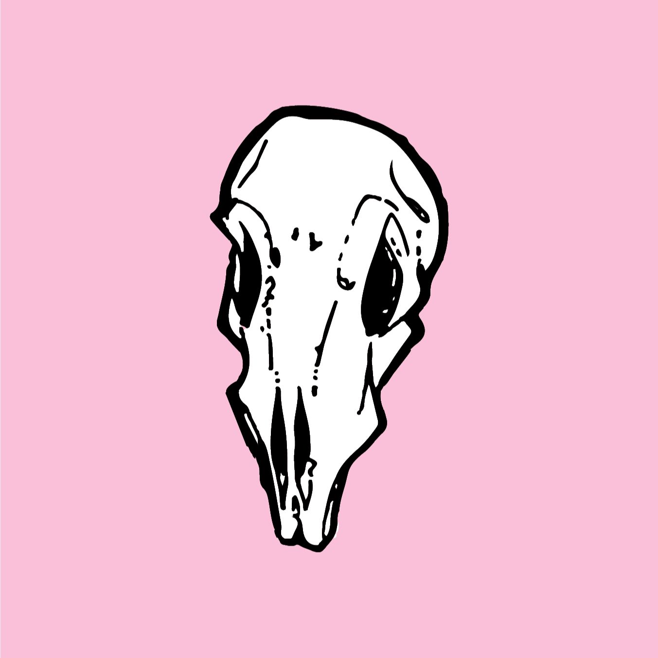 gidropony
