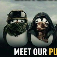 Ninh Trường Nguyễn