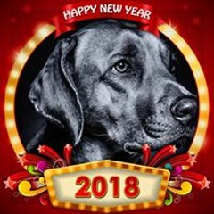 Дима Волков