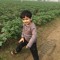 Kamran Kamranali