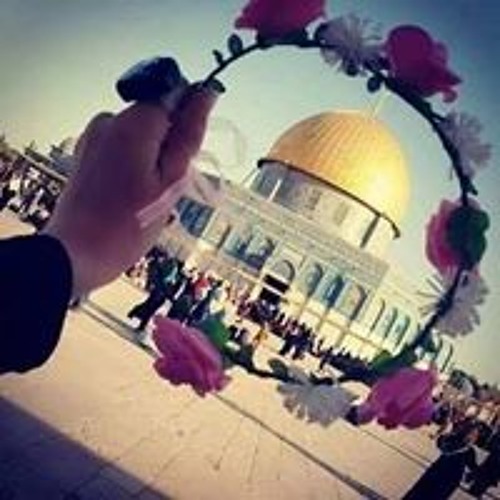فاطمة عبدالفتاح’s avatar
