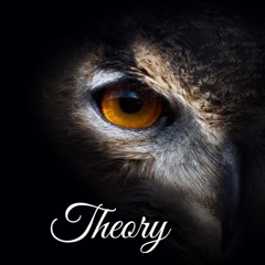 Theory