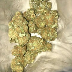 liltree