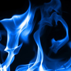 12bxndzeli.__