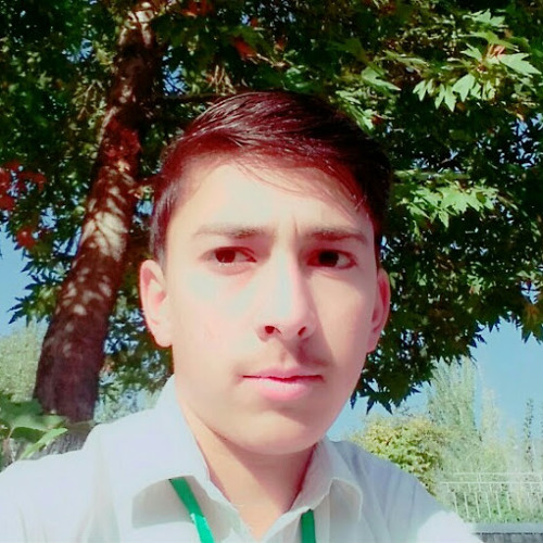 Hamza Wali’s avatar